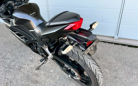 KAWASAKI NINJA 250 EX250L