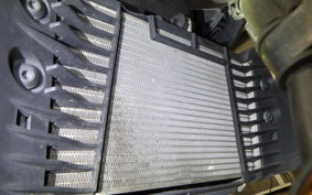 YAMAHA MT-25 2024 RG43J