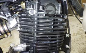 OTHER MUTT250 2024