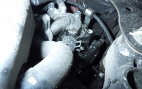 HONDA TACT-4ﾍﾞｰｼｯｸ 2025 AF79