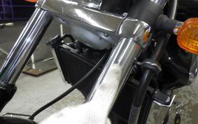 KAWASAKI ELIMINATOR 250 V VN250A