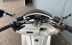 YAMAHA MAXAM 250 SG21J