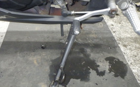 KAWASAKI NINJA 250