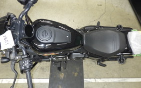 HARLEY RH975S 2024