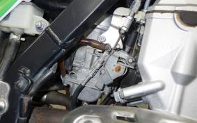 KAWASAKI KLX250 2024 LX250E