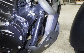 SUZUKI Vｽﾄﾛｰﾑ250A 2002