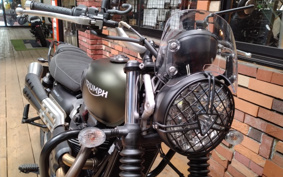 TRIUMPH SCRAMBLER 2024 DAD78G