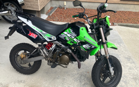 KAWASAKI KSR110 KL110D