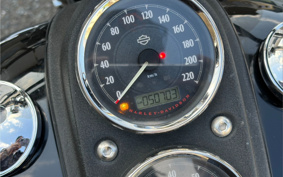 HARLEY FXDL1580 2015 GN4