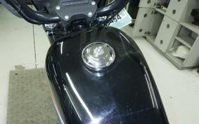 HARLEY XL1200NS 2019