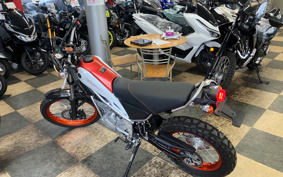 YAMAHA TORITSU CAR DG16J