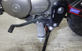 HONDA MONKEY 125 ABS 2024 JB02