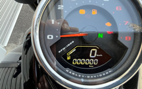 HARLEY FXFBS 2025 YLK
