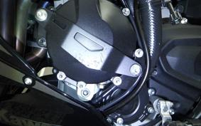 KAWASAKI NINJA ZX-6R A 2025 ZX636J