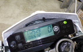 YAMAHA WR250R 2023 DG15J