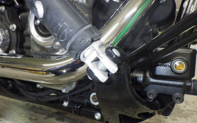 HARLEY FXST1750 2025