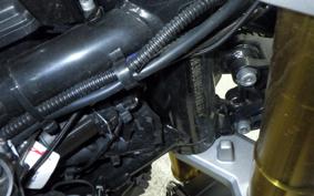 BMW G310GS 2024