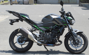 KAWASAKI Z250 EX250Y