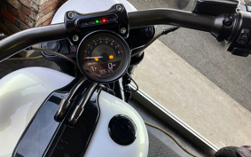 HARLEY FXSE CVO 2017 TG9