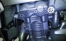 TRIUMPH SPEED TRIPLE RS 2021