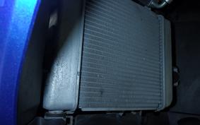 SUZUKI GSX-R125 DL33B