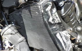 KAWASAKI Z1000 Gen.5 2019 ZXT00W