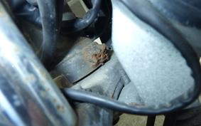 SUZUKI GRASS TRACKER Bigboy NJ47A