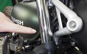 TRIUMPH SCRAMBLER 900 2025