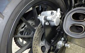 HARLEY X500 2024