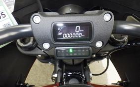 HARLEY FXLRST1920 2024