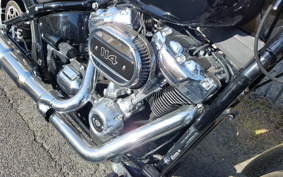 HARLEY FXBRS 2021 YHK