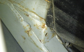 SUZUKI LET's 4 CA45A