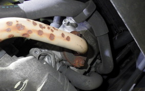 YAMAHA JOG Gen.5 1998 SA36J