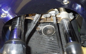 SUZUKI SV400S 2006 VK53A