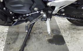 KAWASAKI NINJA 250 EX250P