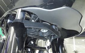 HARLEY FLTRX1920 2025