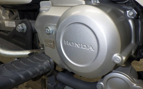 HONDA C110 SUPER CUB JA59