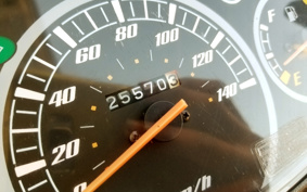 YAMAHA AKUSHI STREET SE53J