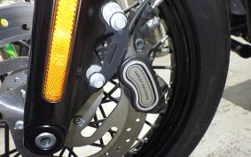 HARLEY FXBB1750 2019