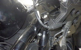 HARLEY FXLRST1920 2024