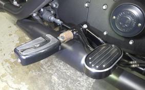 HARLEY XL883N 2019