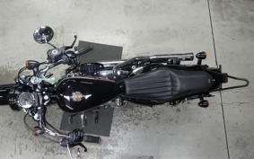 HARLEY XL1200XS 2019