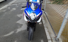 SUZUKI GSX-R1000 2007 GT77A