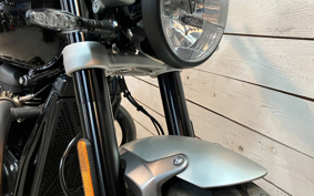 TRIUMPH SPEED TWIN 1200 2024 DAD85H