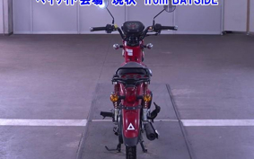 OTHER  CROSS  CUB 110-2