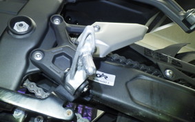 KAWASAKI ZX-4R SE 2023 ZX400P