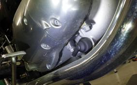 KAWASAKI W800 2022 EJ800E