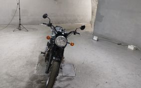 KAWASAKI W800 2019 EJ800B