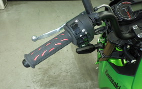 KAWASAKI Z125 PRO 2023 BR125H