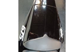 TRIUMPH DAYTONA675 2010 TMD116